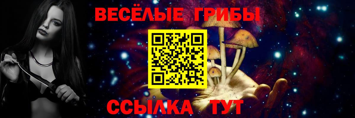 Галлюциногенные грибы Cubensis Саяногорск