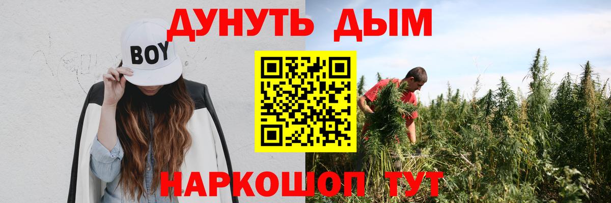 Шишки марихуана гибрид Саяногорск
